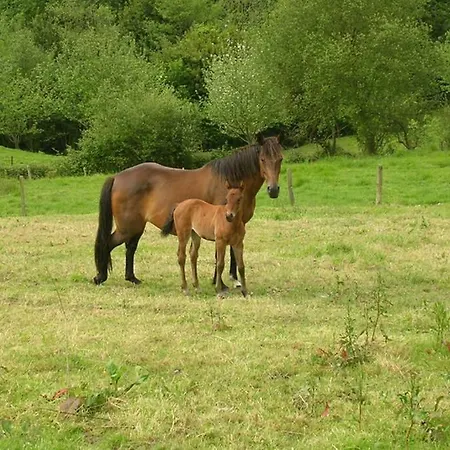 Σπίτι διακοπών La Casina , Casa Con Encanto *