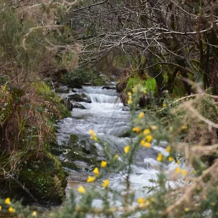 Casa vacanze La Casina , Casa Con Encanto Ribadesella
